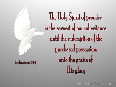 Ephesians 1:14 The Holy Spirit Of Promise (gray)